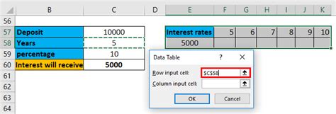 one variable data examples